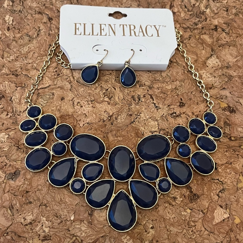 Ellen Tracy Necklace and Earring Set